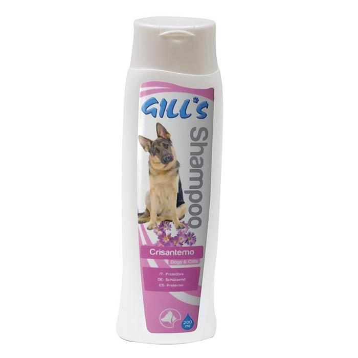 Gills crisantemo sampon 200ml.jpg