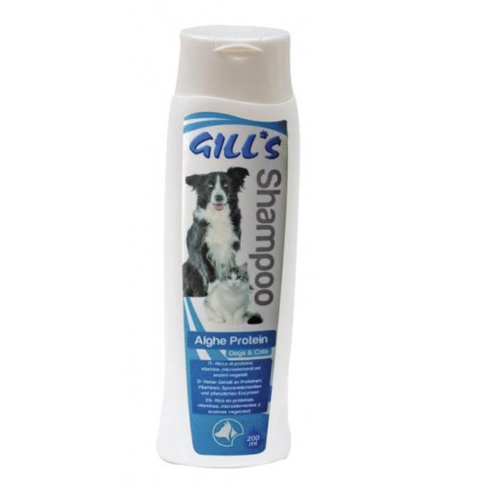 Gills alghe protein sampon 200ml.jpg