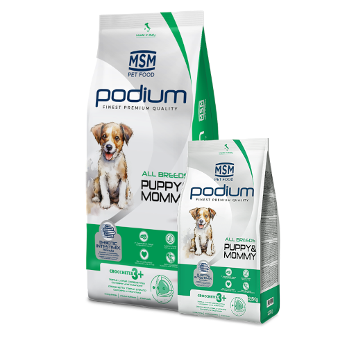 msm podium puppy mommy