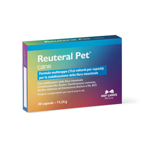 nbf reuteral pet za pse